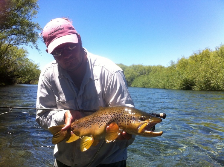 Chimehuin River, Collon Cura River , Junin de los Andes , Neuquen, Argentina