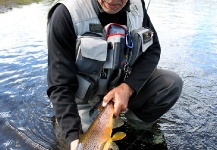 Rudesindo Fariña 's Fly-fishing Image of a Brown trout – Fly dreamers 