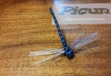 Ariel Najle 's Nice Fly-tying Photo – Fly dreamers 