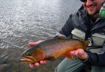 Luke Metherell 's Fly-fishing Photo of a Cutthroat – Fly dreamers 