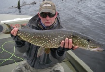 Maine Fishing Adventures 's Fly-fishing Image of a Pike – Fly dreamers 