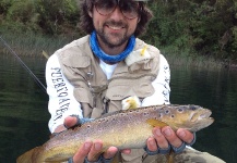 Matapiojo Anglers 's Fly-fishing Image of a Brown trout – Fly dreamers 