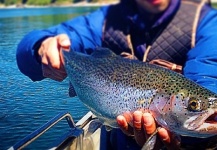 Fotografía de Pesca con Mosca de Trucha arcoiris por Matapiojo Anglers – Fly dreamers 