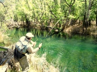 Fly fishing picture