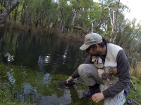 Fly fishing picture