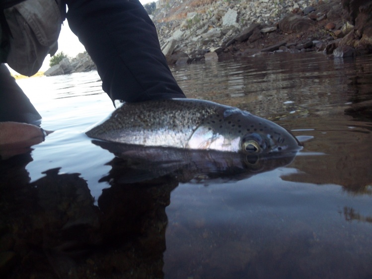 Limay los corrales , neuquen, Neuquen - rio negro, Argentina