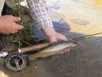 Foto de pesca con mosca