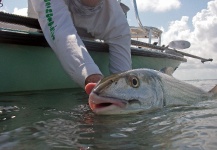 Scott Yetter 's Fly-fishing Picture of a Bonefish – Fly dreamers 