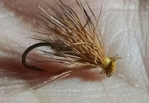 Fly for Rainbow trout - Picture by Julian Ballarino – Fly dreamers 