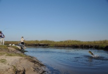  Gran Foto de Situación de Pesca con Mosca por Iberá Lodge Argentina | Fly dreamers