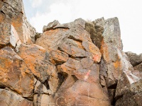 Petroglifos donde se pueden ver Huellas de  Puma