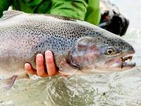 Foto de pesca con mosca