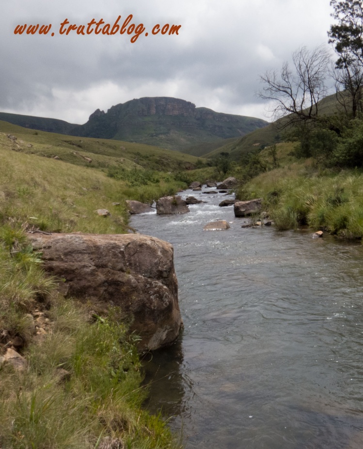 Streams and small lakes, KZN Midlands, South Africa