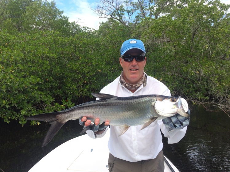 Everglades, Everglades City, Florida, United States