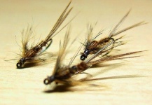 Sweet Fly-tying Picture shared by O2NATOS Angler Friendly – Fly dreamers