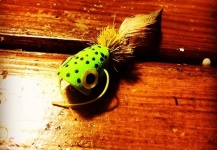 Bailey Barnes 's Fly-tying for Largemouth Bass - Photo – Fly dreamers 