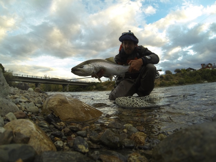 One of the many lake run browns from the Limay Boca.  Also had the privilege of running into Luis San Miguel, founder and owner of fly dreamers.  He took my out on his boat the following day in Lago Nahuel Huapi. Incredible experience.  Thanks again Luis!