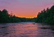 Fly-fishing Situation of Landlocked Salmon - Image shared by Maine Fishing Adventures – Fly dreamers