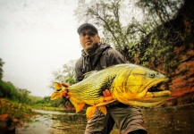  Captura de Pesca con Mosca de Dorado por Marcos Guareschi – Fly dreamers