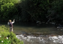 Brown trout Fly-fishing Situation – Andrew Fowler shared this Interesting Image in Fly dreamers 