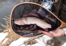 Tim Kidder 's Fly-fishing Photo of a Cutthroat – Fly dreamers 