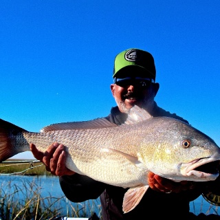 Redfish in the Grass