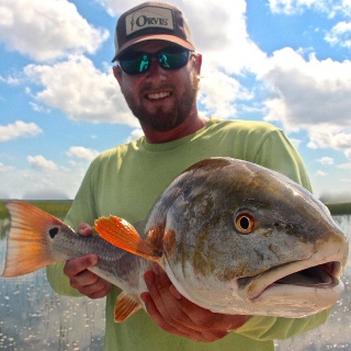 tailing redfish in Hilton Head and Beaufort South Carolina