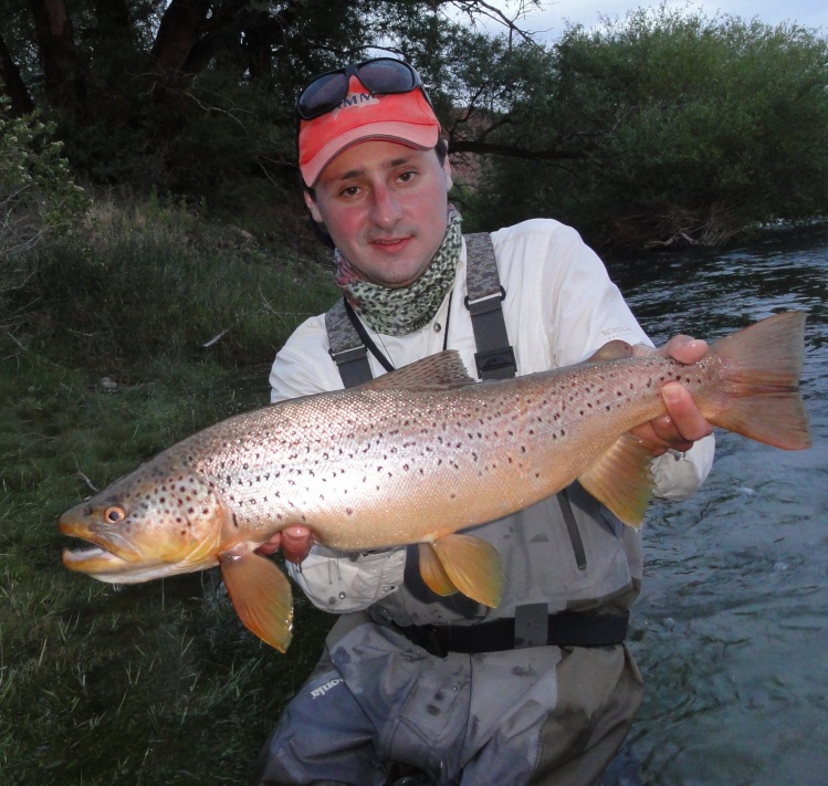 Trucha pescada en diciembre con flote y atractor en el  Río Limay Medio