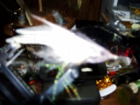 out of focus ! squid fly
tied in white,pink, light grey