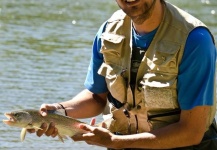 Rainbow trout Fly-fishing Situation – Lucas Obregon shared this Pic in Fly dreamers 