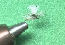Derek Burns 's Fly for Brown trout - Image – Fly dreamers 