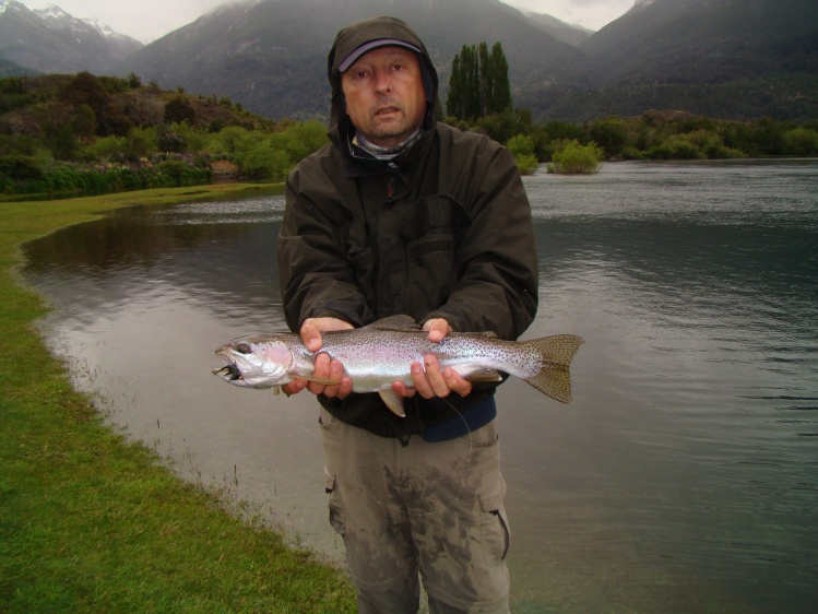 Trucha Arco Iris en el Río Carrileufu