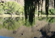 rio Malleo, Junin de los Andes , Neuquen - rio negro, Argentina