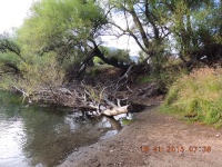 Foto de pesca con mosca