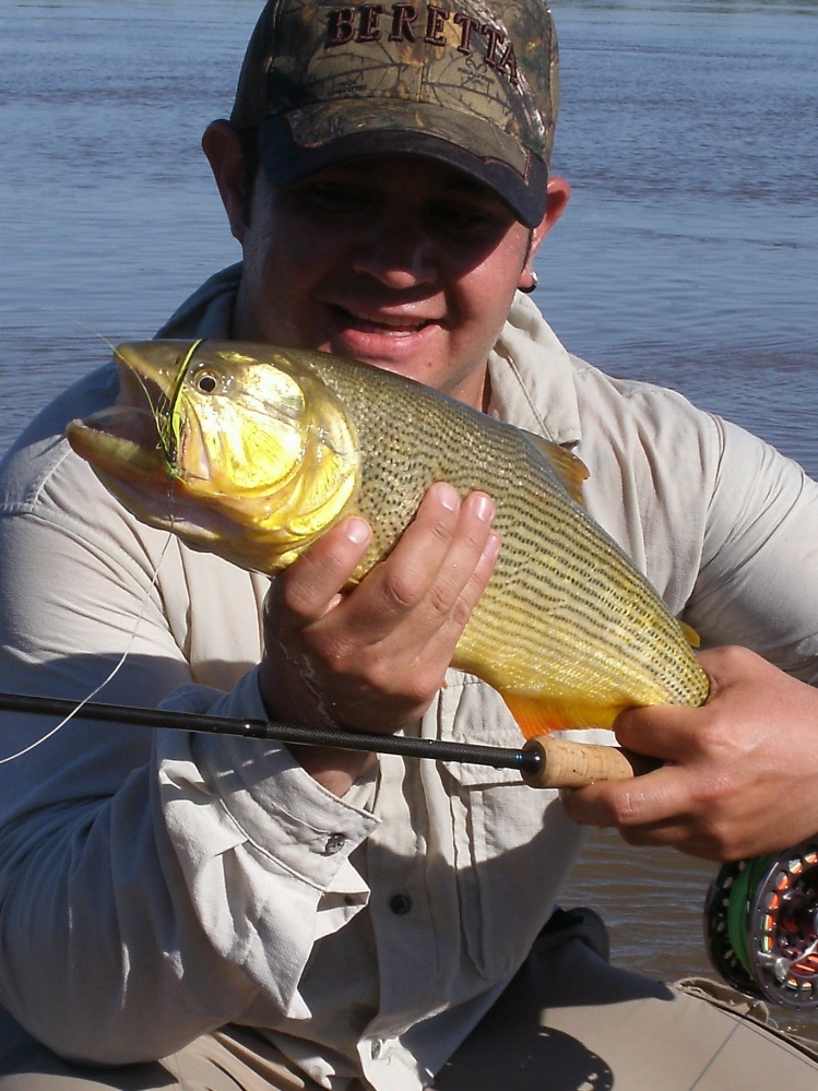 Dorados con mosca en Reconquista