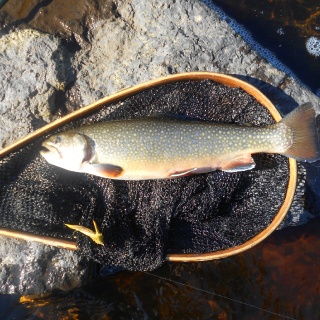 Foto de pesca con mosca