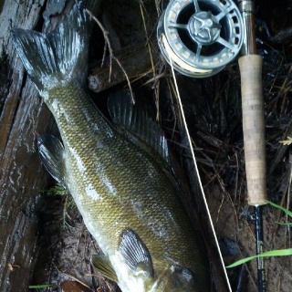 Foto de pesca con mosca