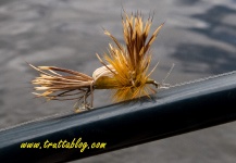 Andrew Fowler 's Fly-tying Picture – Fly dreamers 