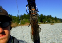 Fly-fishing Entomology Photo shared by Luke Metherell – Fly dreamers 