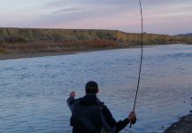 Fly-fishing Situation of Rainbow trout shared by Luke Metherell 