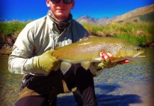 Fly-fishing Pic of German brown shared by Adam Boyle – Fly dreamers 