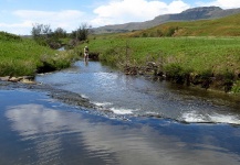 Brown trout Fly-fishing Situation – Andrew Fowler shared this Interesting Image in Fly dreamers 