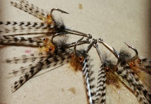 Cool Fly-tying Photo shared by Rupert Harvey – Fly dreamers 