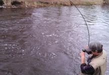 Great Fly-fishing Situation of Carp - Image shared by Luke Metherell – Fly dreamers