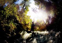 Steelhead Fly-fishing Situation – Luke Metherell shared this () Image in Fly dreamers 