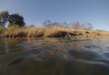  Fotografía de Pesca con Mosca de Yellowfish por Oliver Otto – Fly dreamers