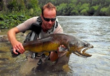 Fly-fishing Picture of Marble Trout shared by Rok Fly Fishing – Fly dreamers