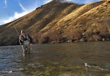 Fly-fishing Situation of Rainbow trout - Image shared by Fishbite Media – Fly dreamers