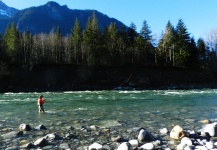 Interesting Fly-fishing Situation of Steelhead - Image shared by Colton Graham – Fly dreamers