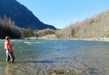 Interesting Fly-fishing Situation of Steelhead - Picture shared by Colton Graham – Fly dreamers